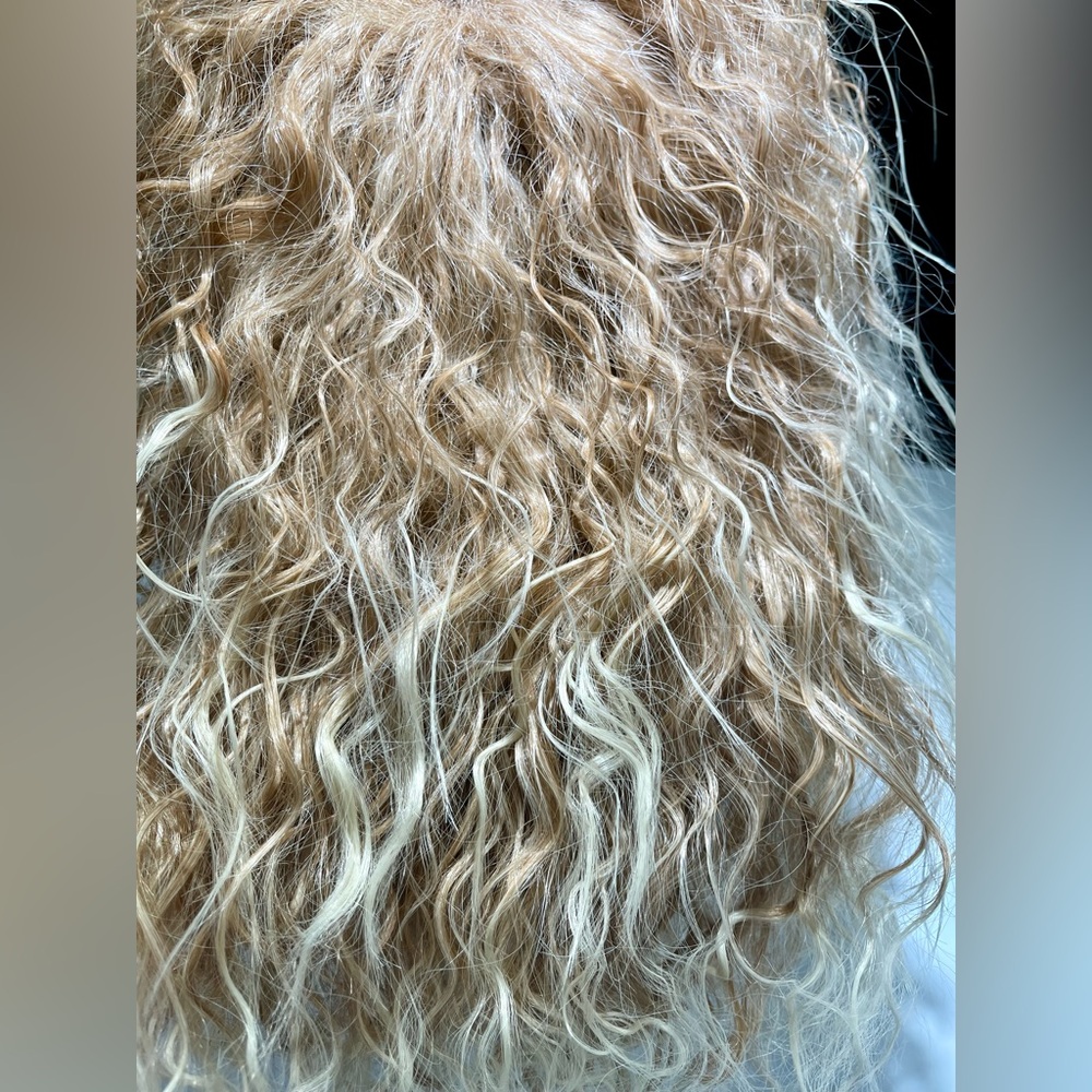 🥳🥳 2Fer HAIR, 20” & 22” long, Kinky/Curly with long layers, bangs, Blondes - Picture 9 of 16